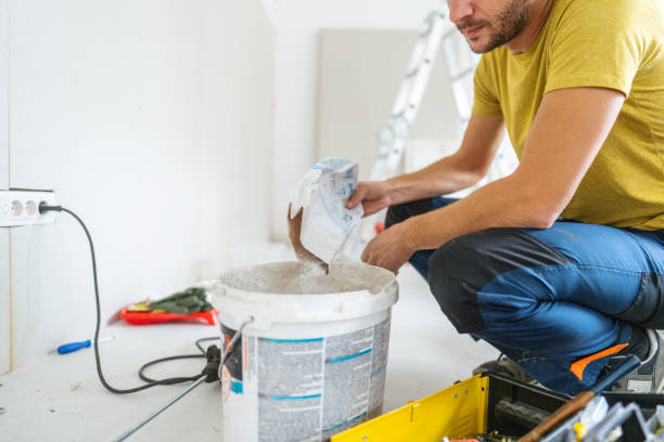 Best Basement Mold Removal  in Whitney Point, NY