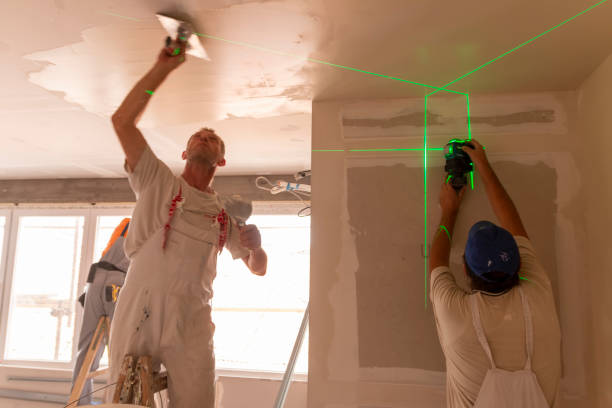 Best Environmental Consulting for Mold Prevention  in Whitney Point, NY