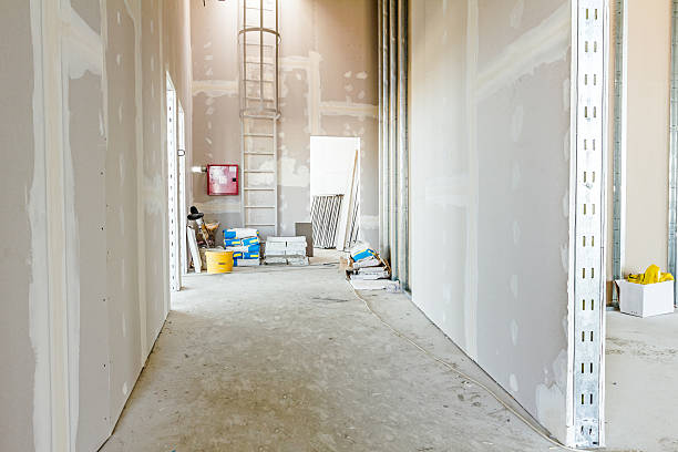 Whitney Point, NY Mold Removal Company